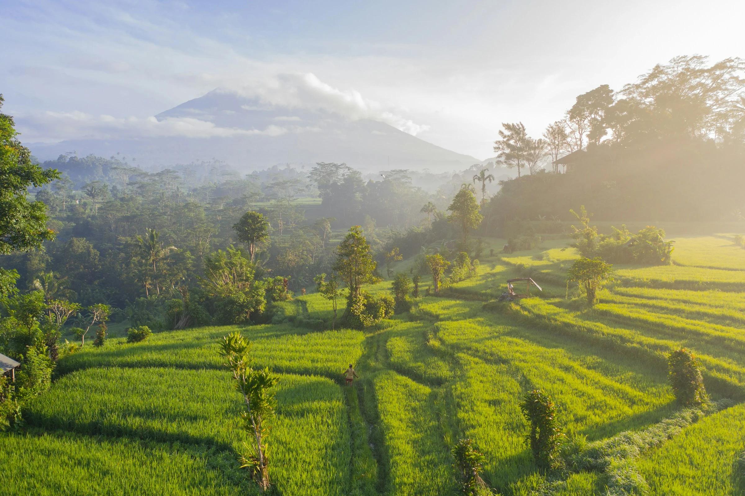 Couple enjoying a tour in Bali